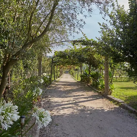 Casa De Cardido Nyaraló